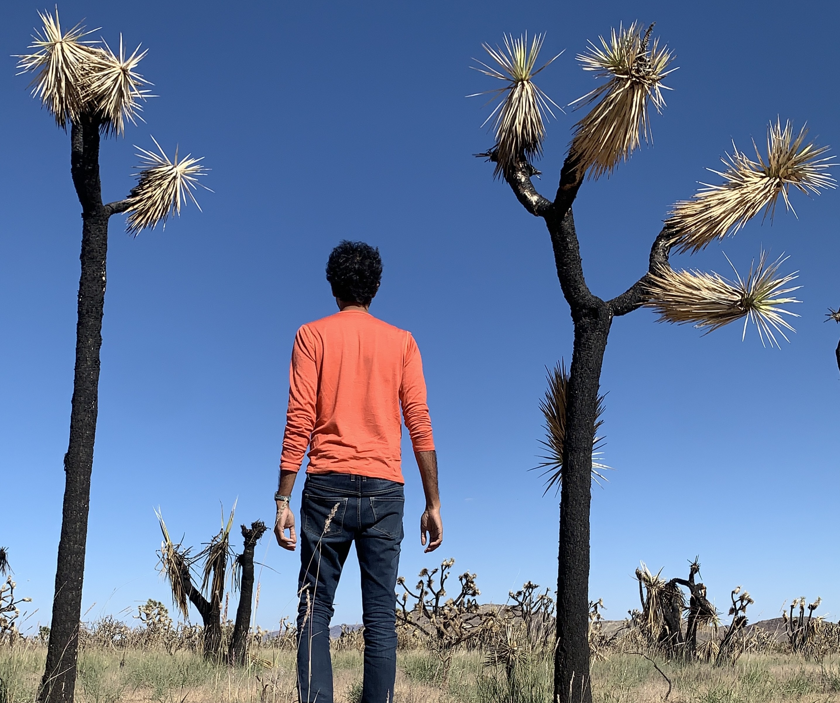 mother, 2023. personal photo. mother, 2023